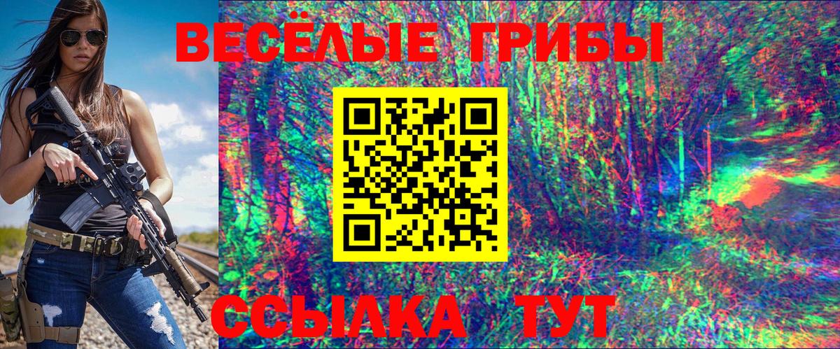 Тавда  Псилоцибиновые грибы ЛСД  Псилоцибиновые грибы ЛСД  Вход с VPN 
